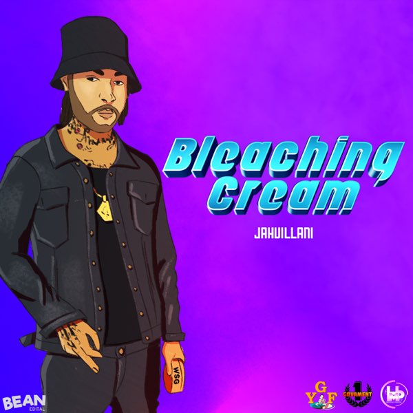 Album Cover Art (Illustrated)